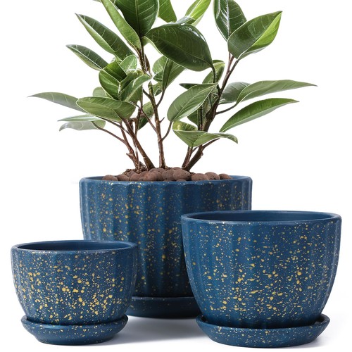 Ceramic plant pots - ceramic, with