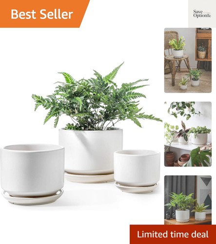 Ceramic pots for - ceramic,