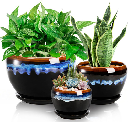 Pack ceramic flower - pack,