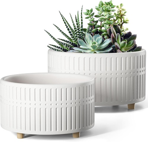 Ceramic succulent planters - succulent,