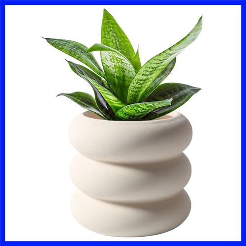 Ceramic plant pot indoor - ceramic,